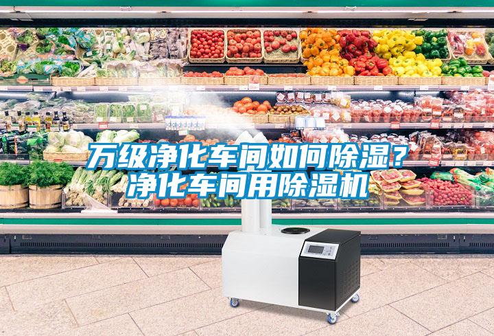 萬級凈化車間如何除濕？凈化車間用除濕機