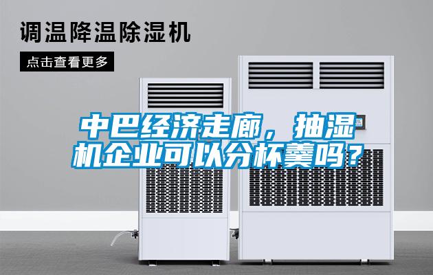 中巴經(jīng)濟走廊，抽濕機企業(yè)可以分杯羹嗎？