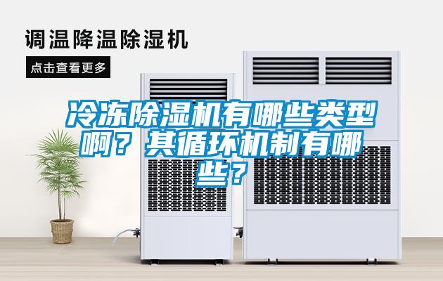 冷凍除濕機有哪些類型啊?其循環機制有哪些?