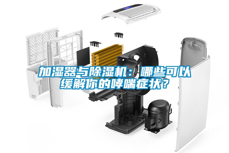 加濕器與除濕機:哪些可以緩解你的哮喘癥狀?