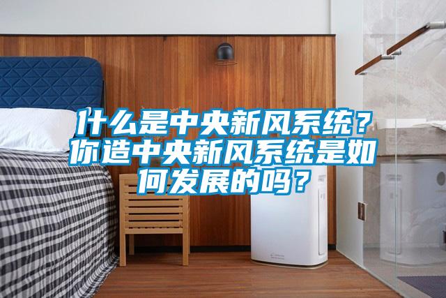什么是中央新風系統？你造中央新風系統是如何發展的嗎？