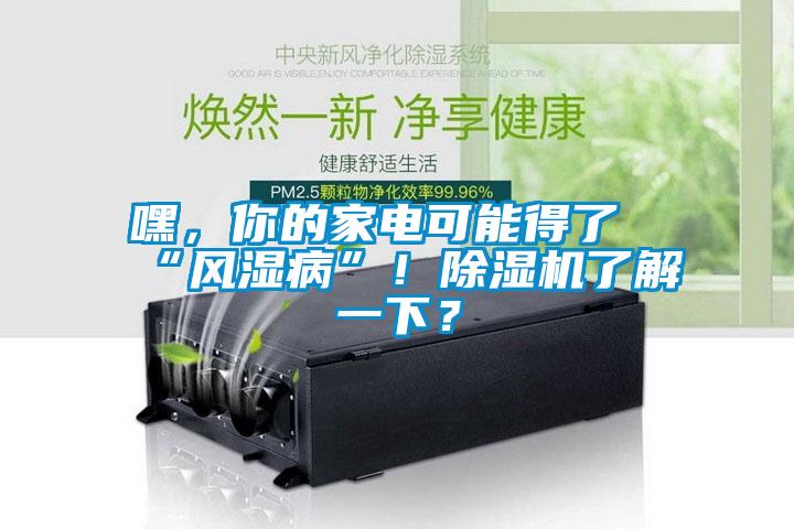嘿，你的家電可能得了“風(fēng)濕病”！除濕機(jī)了解一下？