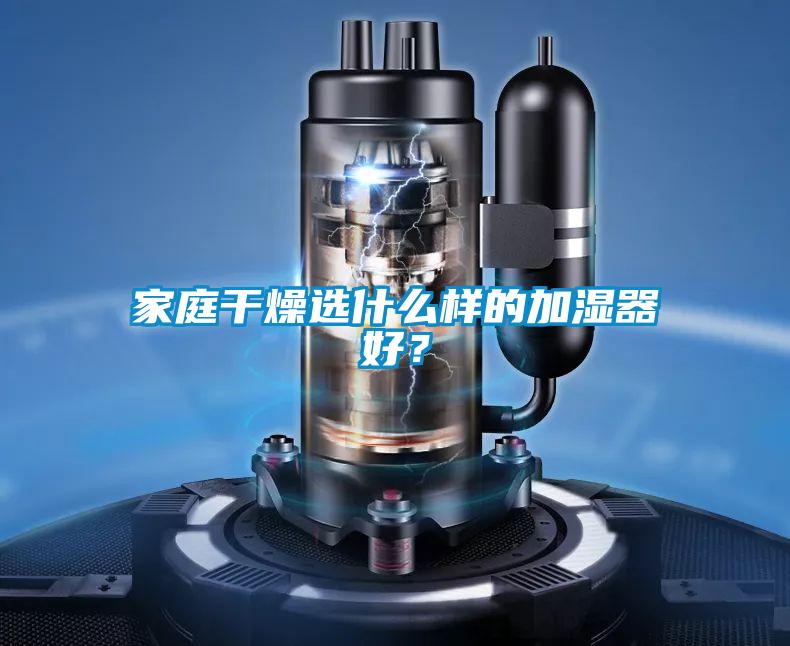 家庭干燥選什么樣的加濕器好？