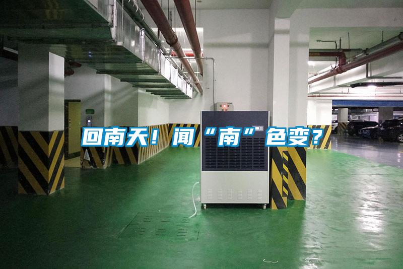 回南天！聞“南”色變？