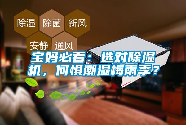 寶媽必看：選對除濕機，何懼潮濕梅雨季？