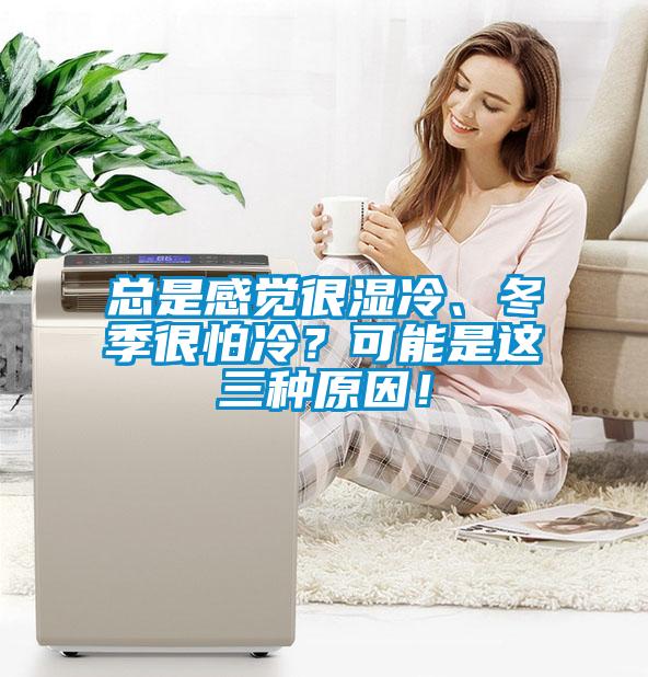總是感覺很濕冷、冬季很怕冷?可能是這三種原因!
