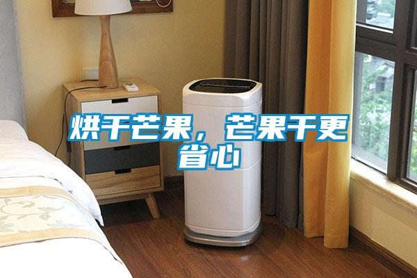 烘干芒果，芒果干更省心