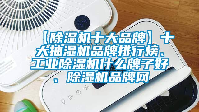 【除濕機十大品牌】十大抽濕機品牌排行榜、工業除濕機什么牌子好、除濕機品牌網