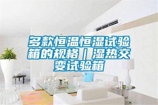 多款恒溫恒濕試驗箱的規格|濕熱交變試驗箱