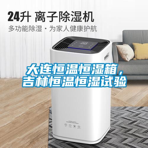大連恒溫恒濕箱，吉林恒溫恒濕試驗