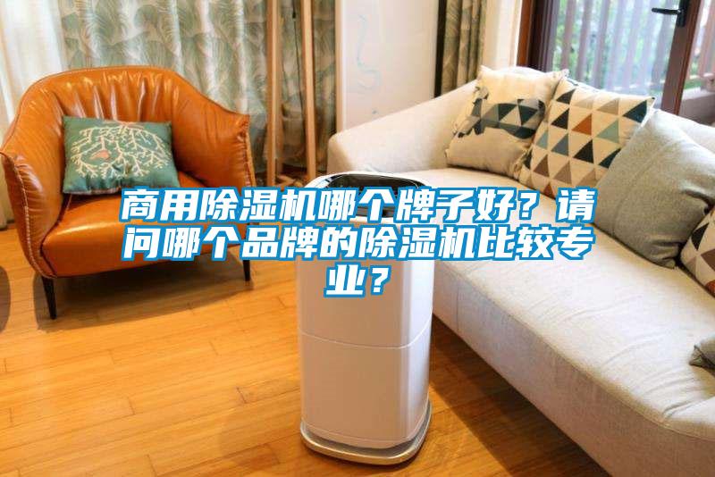 商用除濕機(jī)哪個(gè)牌子好？請(qǐng)問(wèn)哪個(gè)品牌的除濕機(jī)比較專業(yè)？
