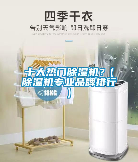 十大熱門除濕機？(除濕機專業(yè)品牌排行)