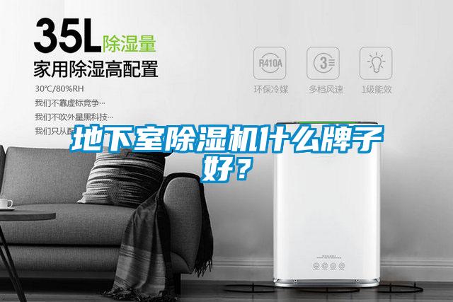 地下室除濕機(jī)什么牌子好?