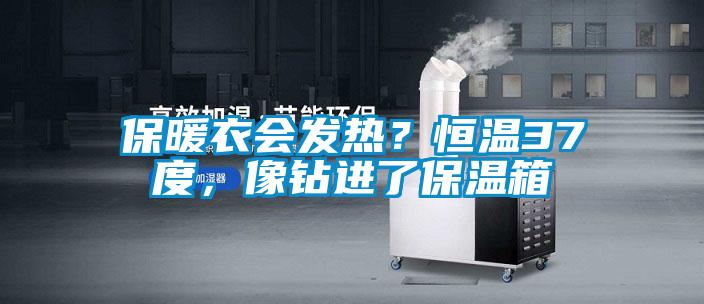 保暖衣會發(fā)熱?恒溫37度,像鉆進了保溫箱