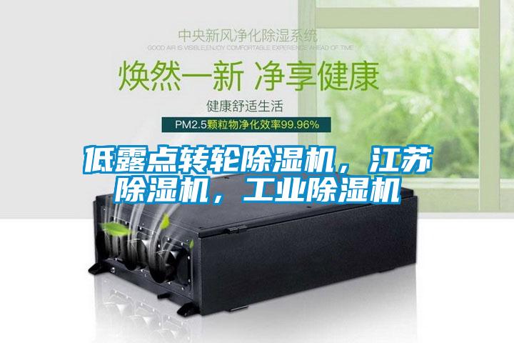 低露點(diǎn)轉(zhuǎn)輪除濕機(jī)，江蘇除濕機(jī)，工業(yè)除濕機(jī)