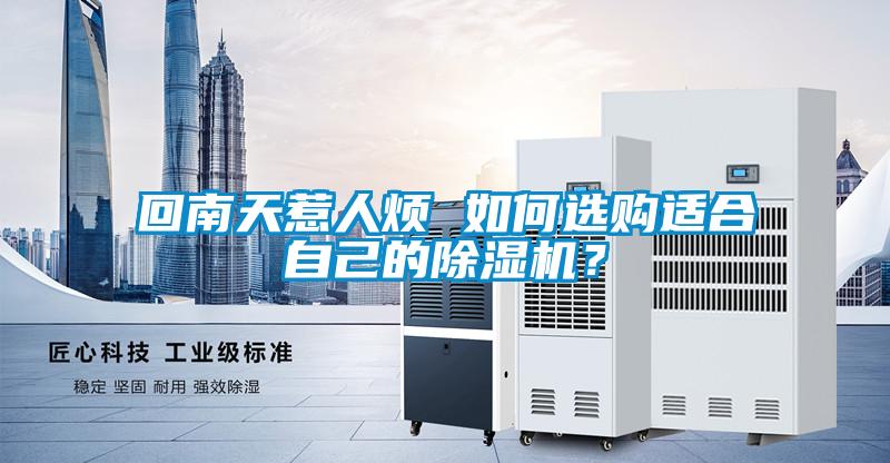 回南天惹人煩 如何選購適合自己的除濕機？