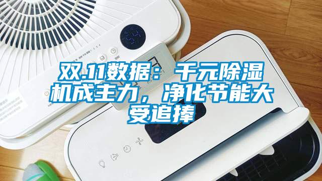 雙.11數據：千元除濕機成主力，凈化節能大受追捧