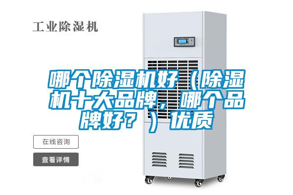 哪個除濕機好（除濕機十大品牌，哪個品牌好？）優質