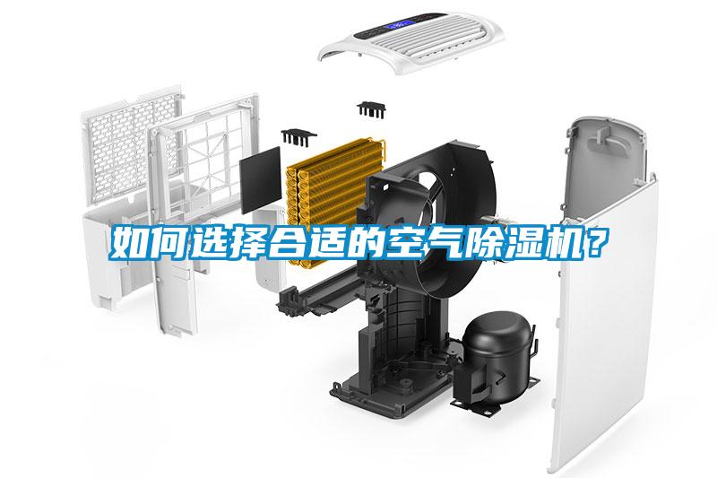 如何選擇合適的空氣除濕機？