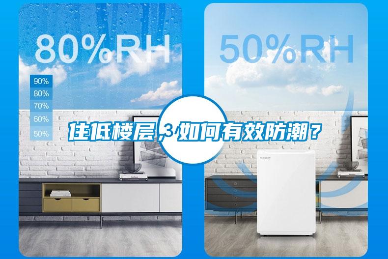 住低樓層，如何有效防潮？