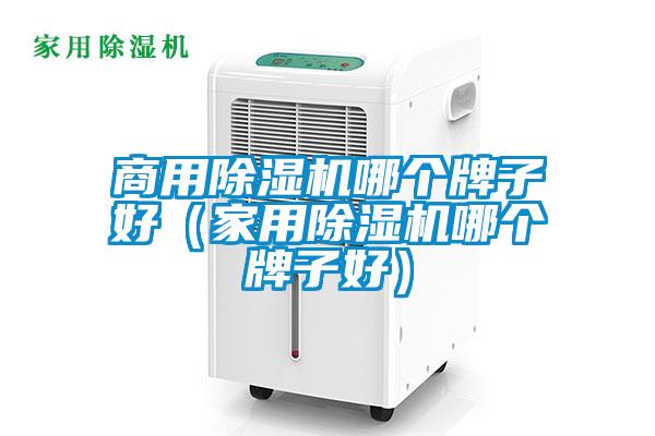 商用除濕機哪個牌子好(家用除濕機哪個牌子好)