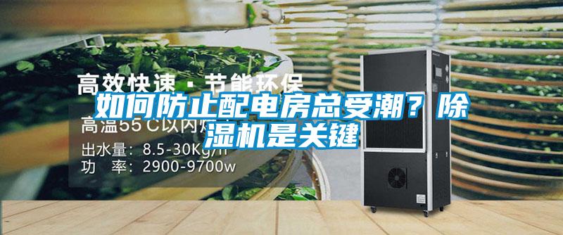 如何防止配電房總受潮？除濕機是關(guān)鍵