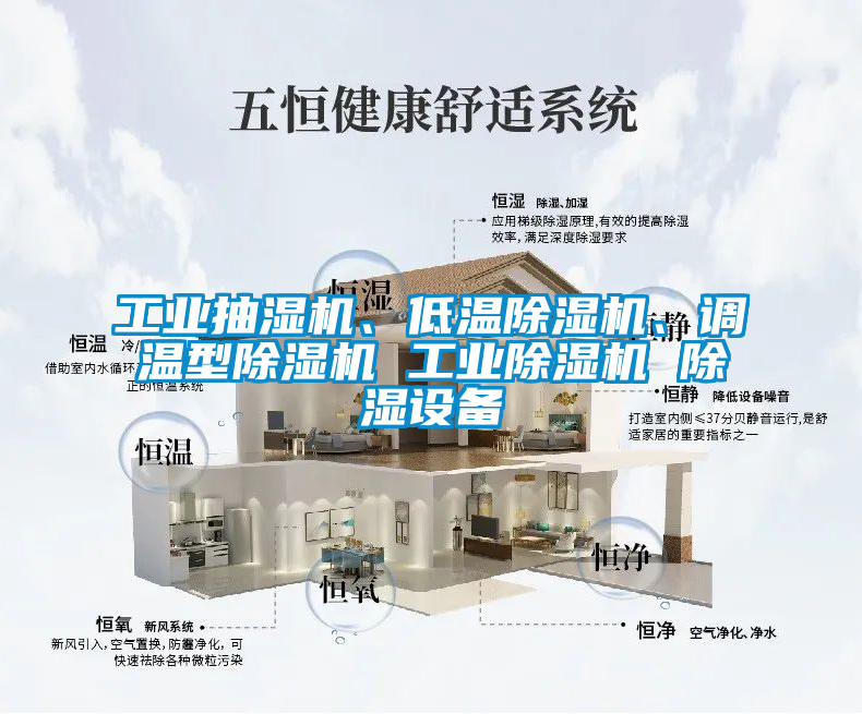 工業(yè)抽濕機(jī)、低溫除濕機(jī)、調(diào)溫型除濕機(jī) 工業(yè)除濕機(jī) 除濕設(shè)備