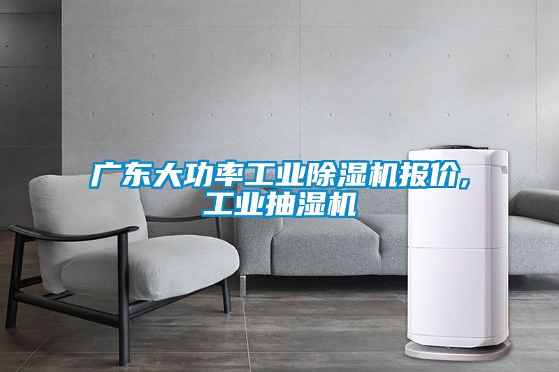 廣東大功率工業(yè)除濕機(jī)報價,工業(yè)抽濕機(jī)