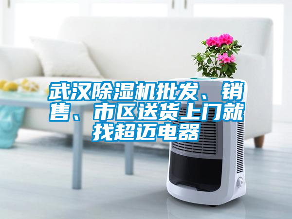武漢除濕機批發(fā)、銷售、市區(qū)送貨上門就找超邁電器