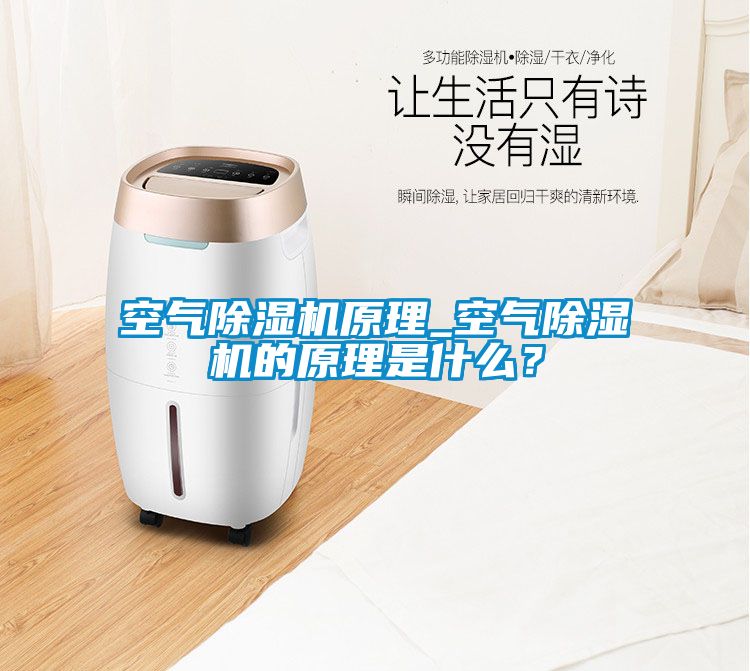 空氣除濕機原理_空氣除濕機的原理是什么?