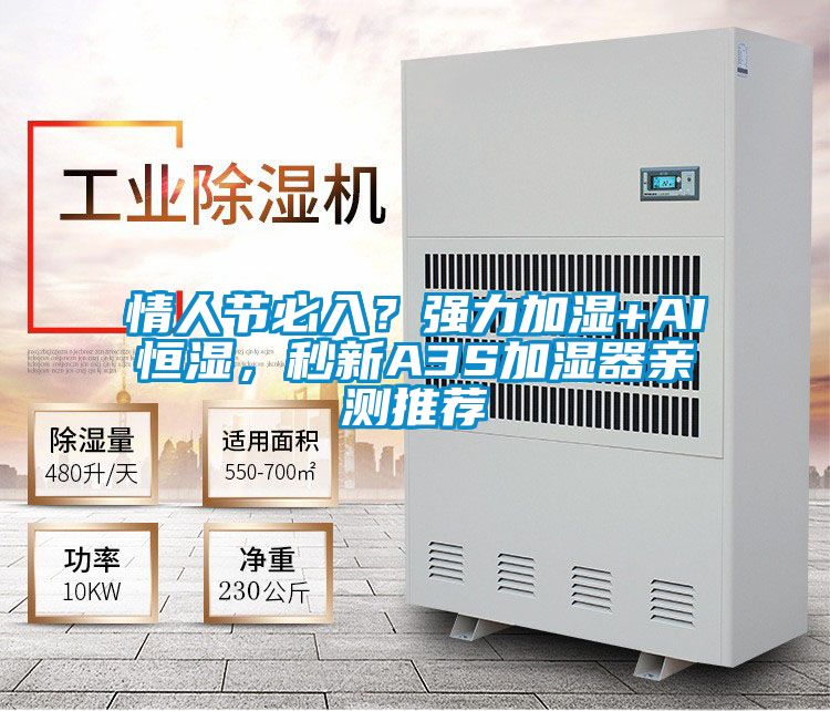 情人節(jié)必入？強力加濕+AI恒濕，秒新A3S加濕器親測推薦