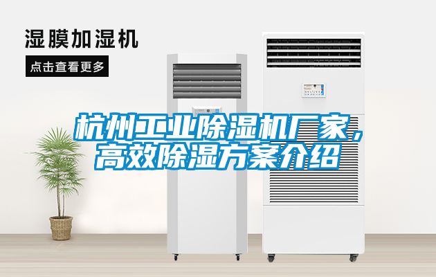 杭州工業除濕機廠家,高效除濕方案介紹