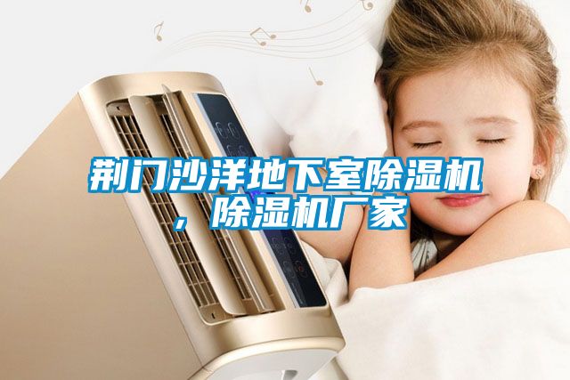 荊門沙洋地下室除濕機，除濕機廠家