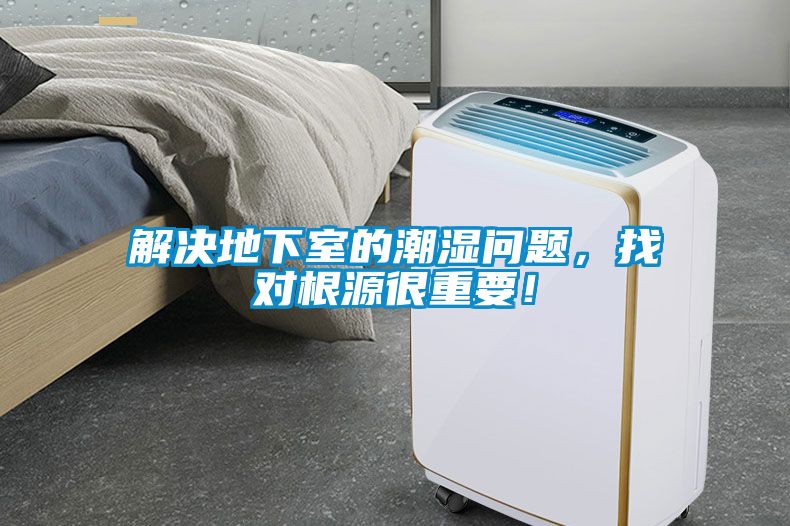 解決地下室的潮濕問題，找對根源很重要！