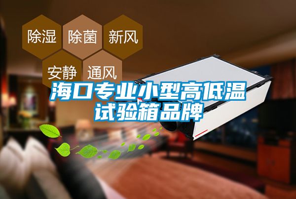 ?？趯I小型高低溫試驗箱品牌