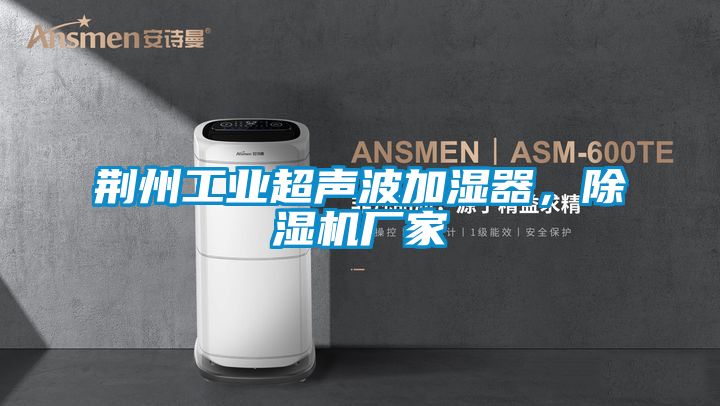 荊州工業(yè)超聲波加濕器,除濕機(jī)廠家