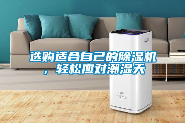 選購適合自己的除濕機，輕松應對潮濕天