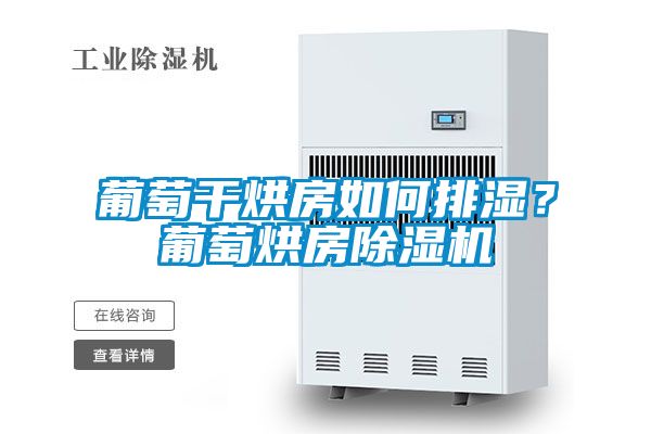葡萄干烘房如何排濕？葡萄烘房除濕機
