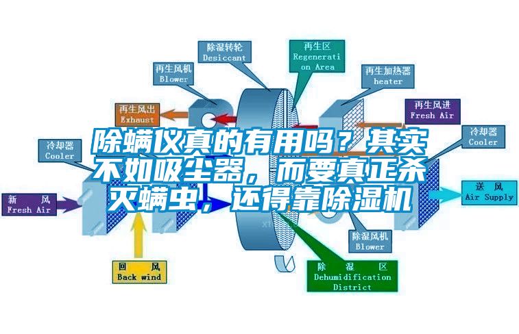 除螨儀真的有用嗎？其實不如吸塵器，而要真正殺滅螨蟲，還得靠除濕機